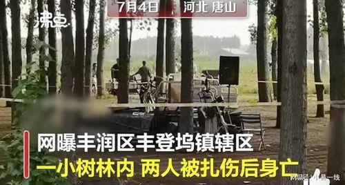 最近唐山爆料案件最新情况,真相逐步浮出水面